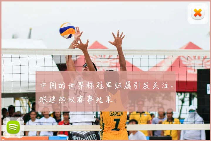 中国的世界杯冠军归属引发关注,球迷热议赛事结果
