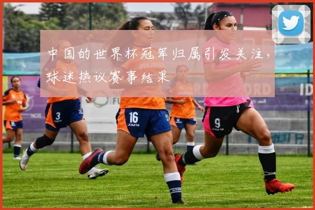 中国的世界杯冠军归属引发关注,球迷热议赛事结果